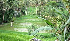 IMG_0175