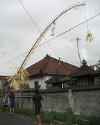 IMG_0185