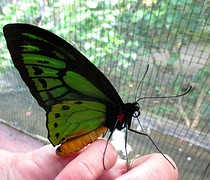 IMG_0306