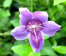 IMG_0312