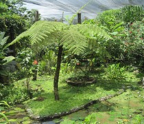 IMG_0333