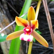 IMG_0335