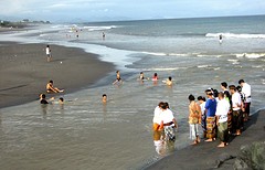 IMG_0505