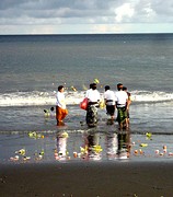 IMG_0511