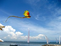 IMG_1191