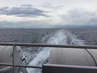 Full speed ahead