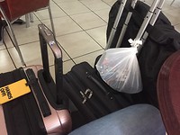 De bagage bij elkaar