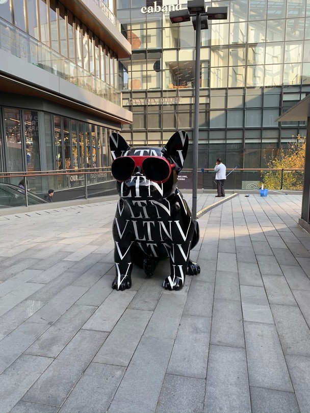 Valentino doggy