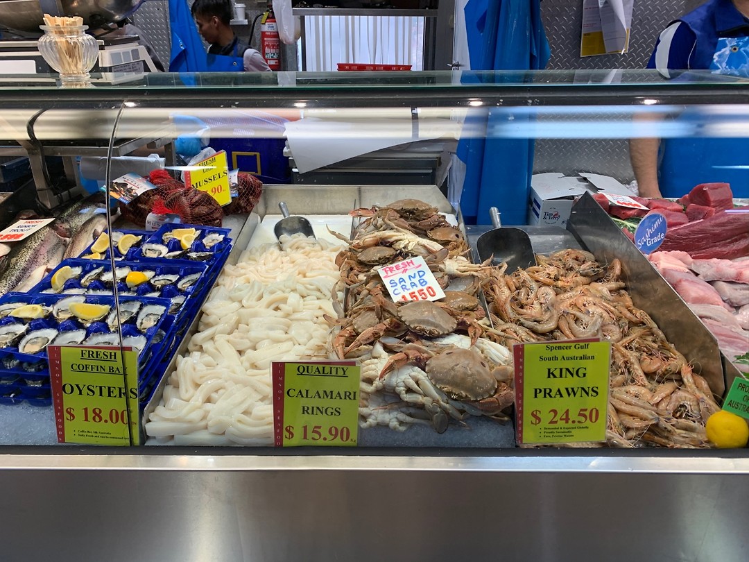 Heel veel vis 🍤
