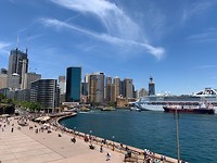 De skyline vanaf Opera House