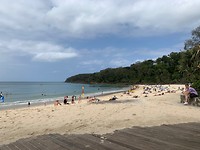 Noosa Beach