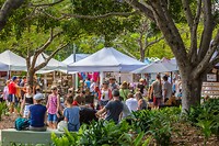 Eumundi Market