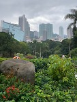 Botanische tuin HK Park
