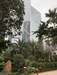 Zicht naar boven vanuit de Botanische tuin
