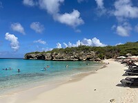 Grote Knip