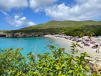 Grote Knip