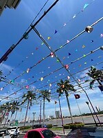 De Boulevard
