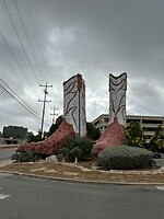 World largest cowboy boots