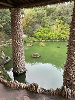 Japanese Tea Garden