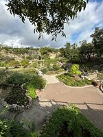 Japanese Tea Garden
