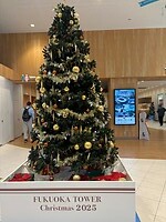 Kerstversiering overal