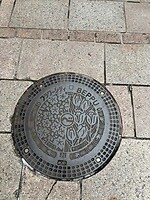 Straattegel Beppu