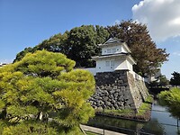 Oita