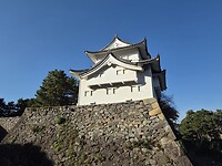 Nagoya Castle