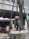 Hachiko de hond