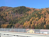 Prachtige herfst kleuren