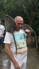 monkey business