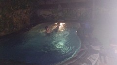 onze eigen pool