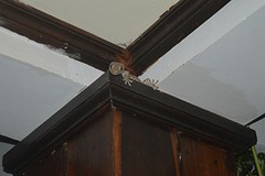 Onze huis vliegen vanger