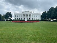 IMG_2794