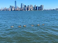 IMG_2864