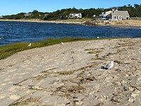IMG_2933