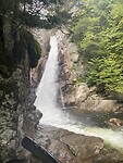 image_67219457