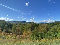 image_16886785