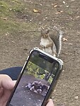 image_67178497
