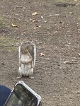 image_67221505