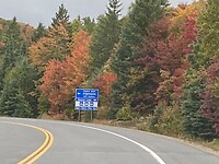 image_16850433