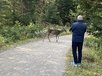 image_16861185