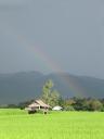 Regenboog