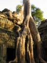 De Tomb Raider tempel
