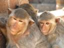 yes we're cheeky!
