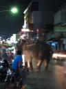 zielig olifantje in Suratthani