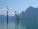 Khao Sok NP