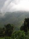 Cameron Highlands