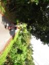Wandelen in de Cameron Highlands