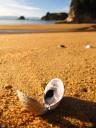 Abel Tasman NP